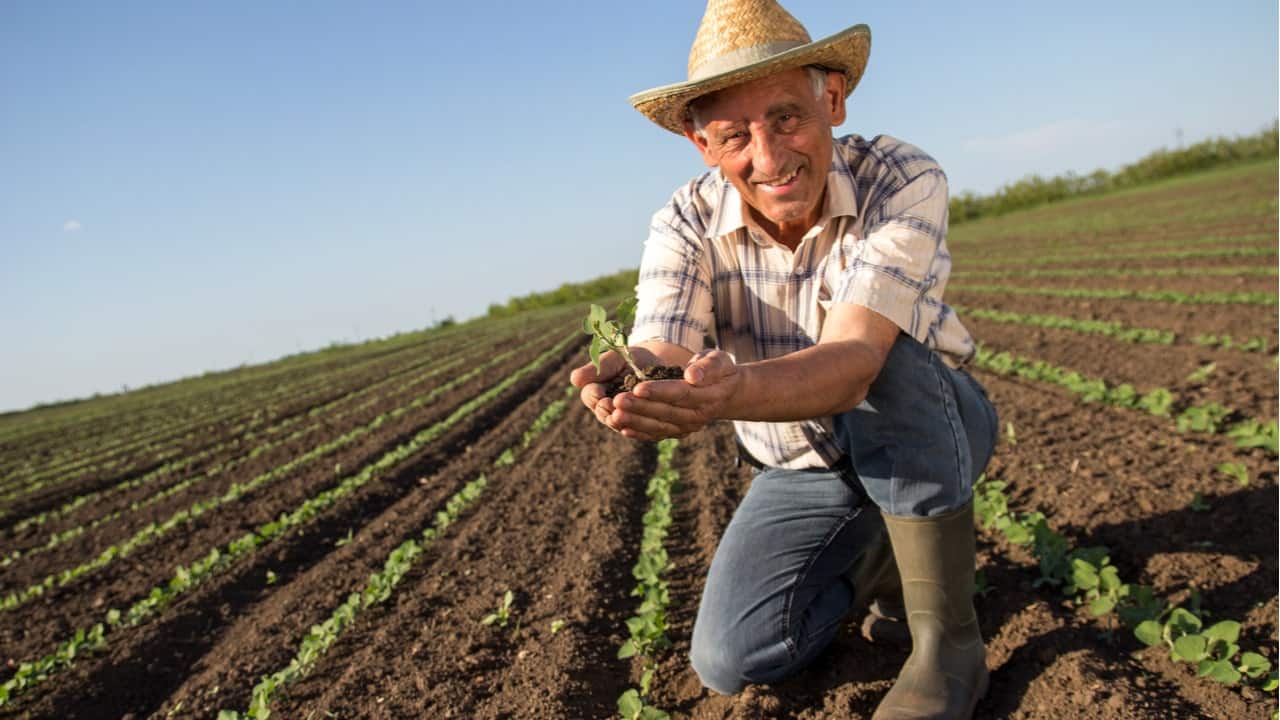 benefício especial para agricultor