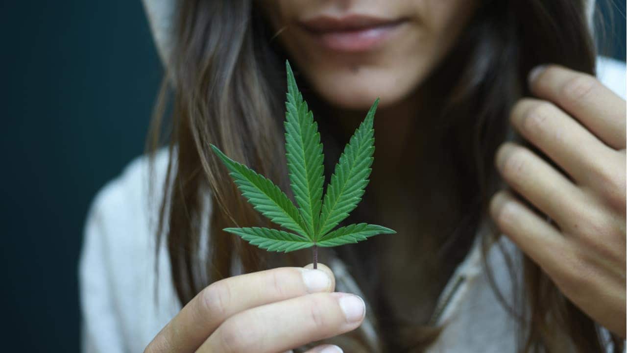 Cannabis