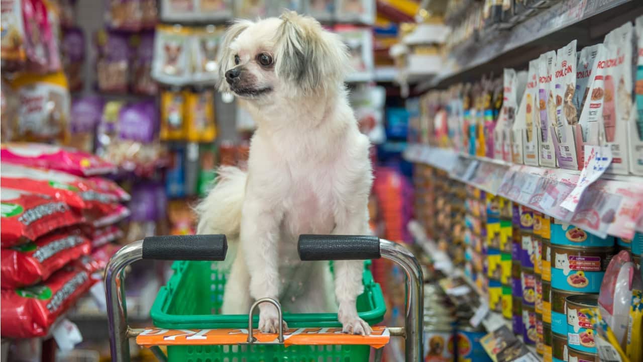 mercado pet