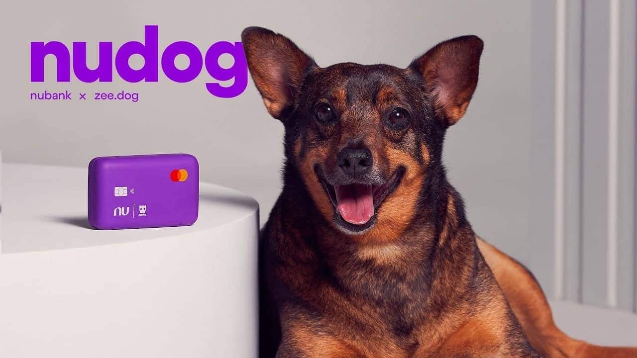 Dudog, do Nubank e da Zee.Dog
