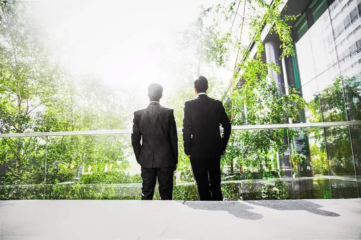 Quanto ganha um profissional de ESG e por que é tão requisitado no mercado de trabalho?