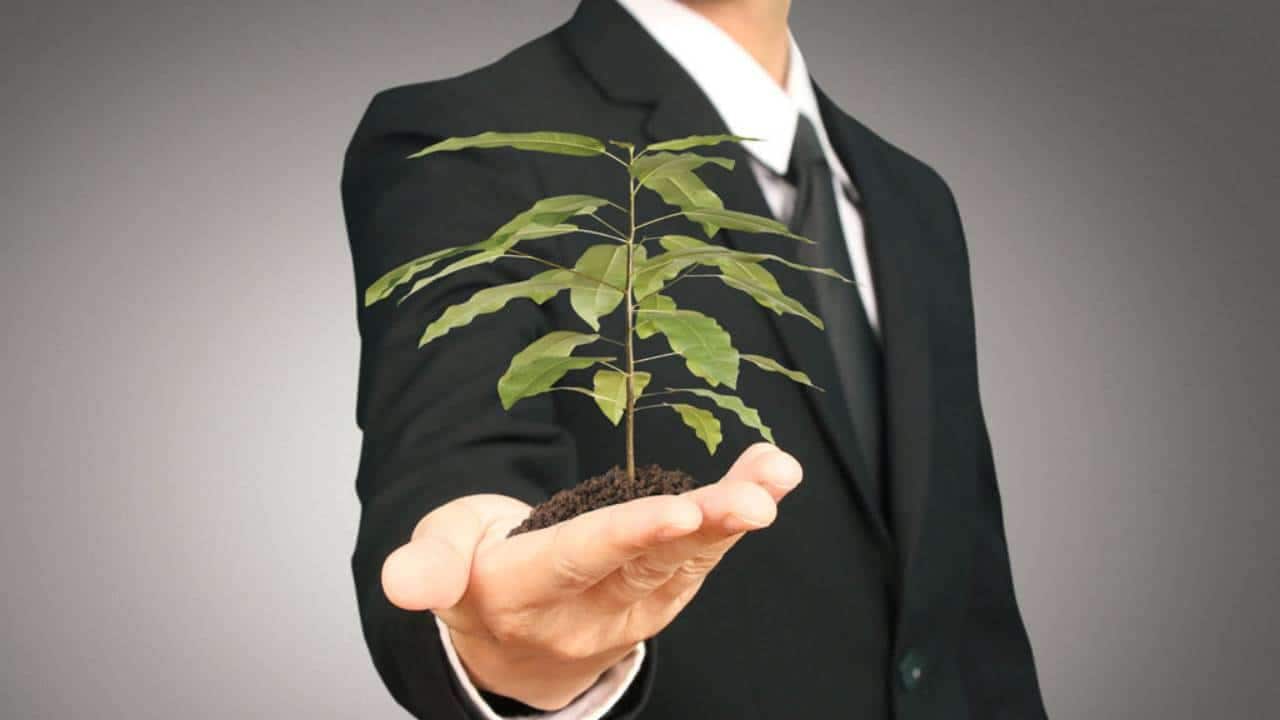 homem de terno com uma muda de planta na mão