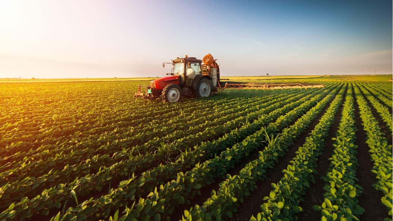 trator agrícola sendo dirigido em meio a plantação de agricultura