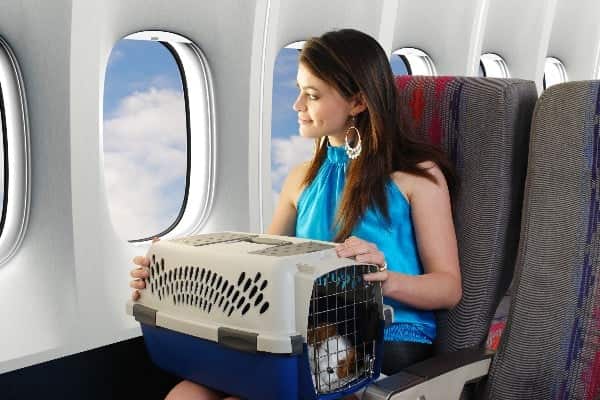Mulher com cachorro dentro da caixa no colo