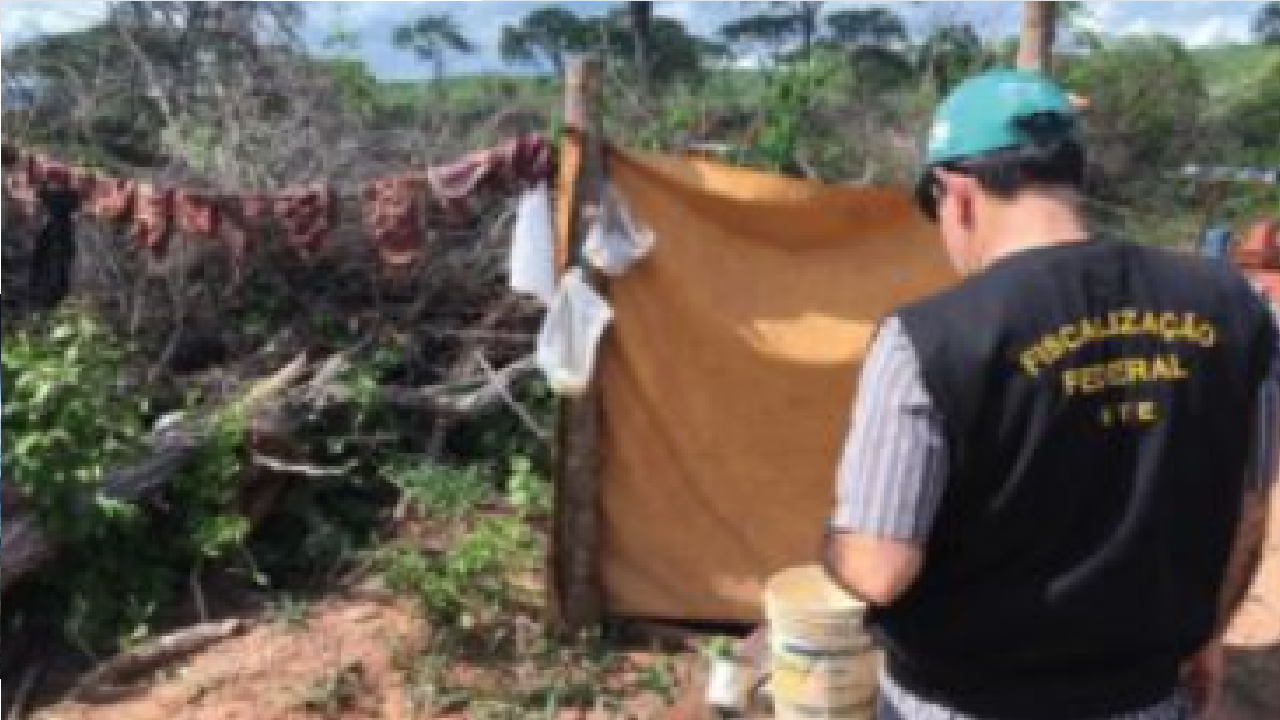Imagem de fiscalização federal em local com trabalho escravo