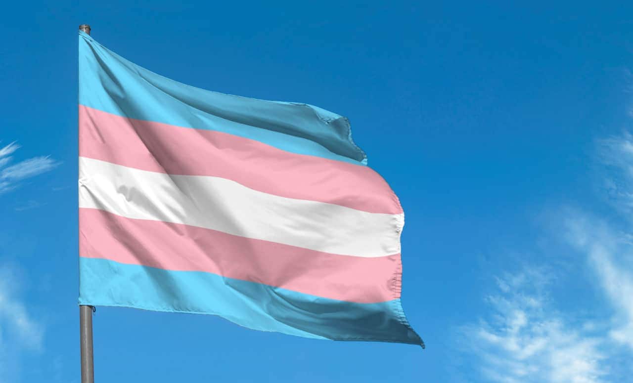 bandeira trans