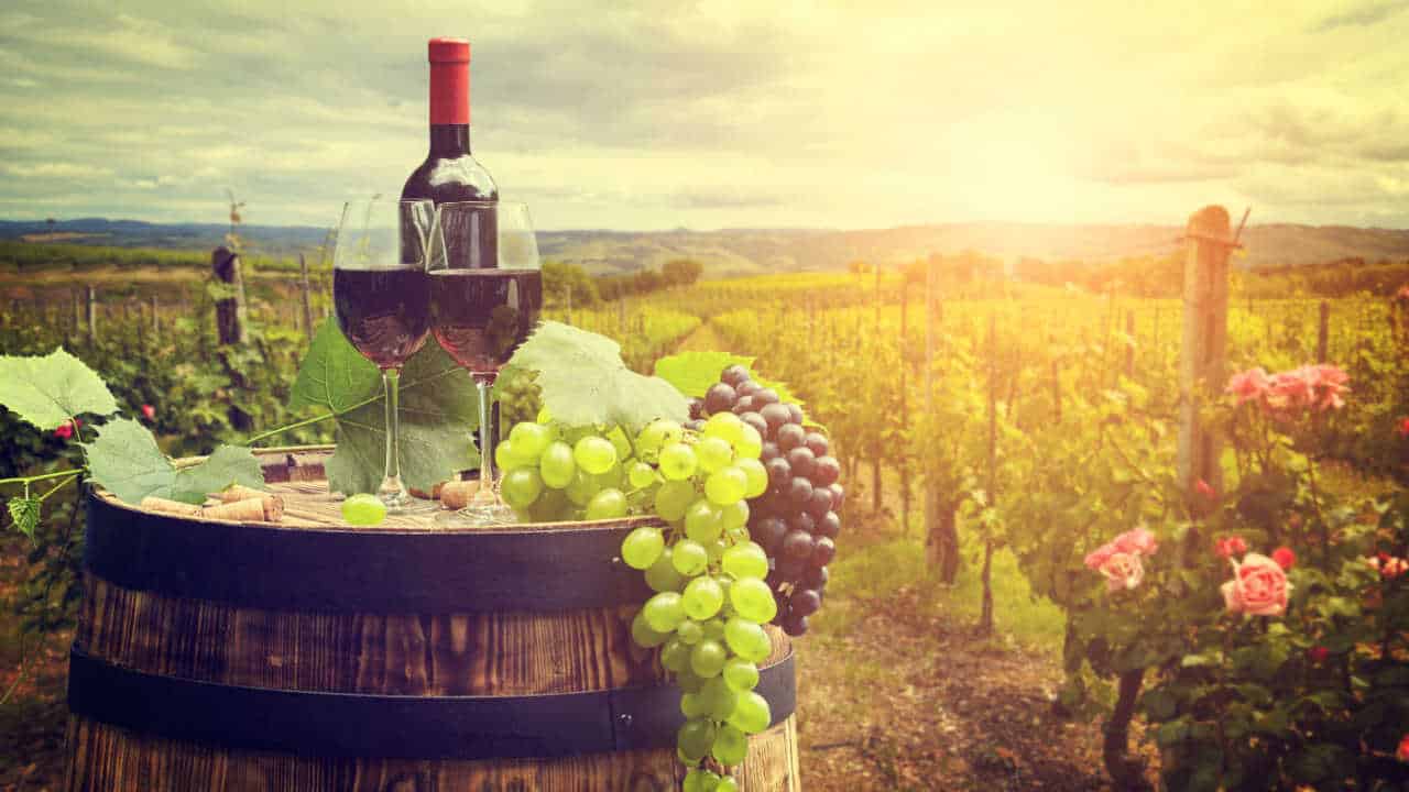 vinho tinto e uvas em barril