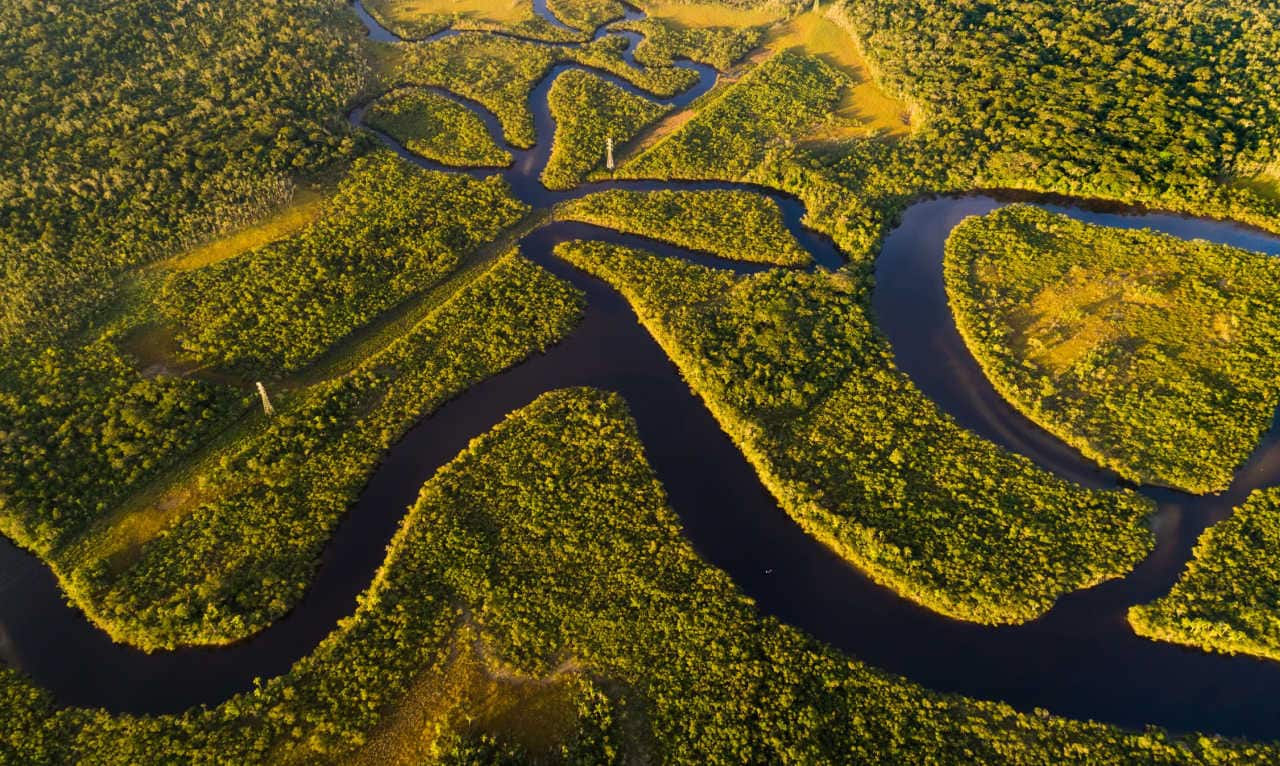 Imagem da Amazônia mostrando a fauna e o lago.