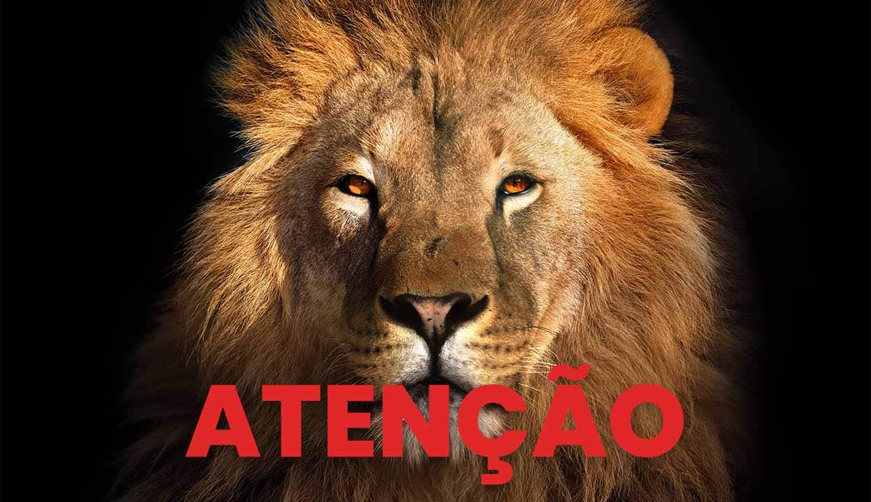Imagem de um leão, símbolo da declaração de Imposto de Renda. Na frente, o texto "atenção".