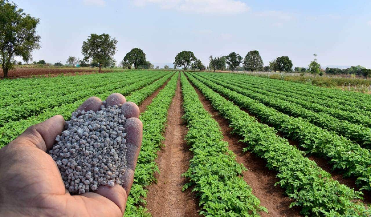 Imagem de uma mão segurando fertilizantes. Ao fundo, uma plantação.
