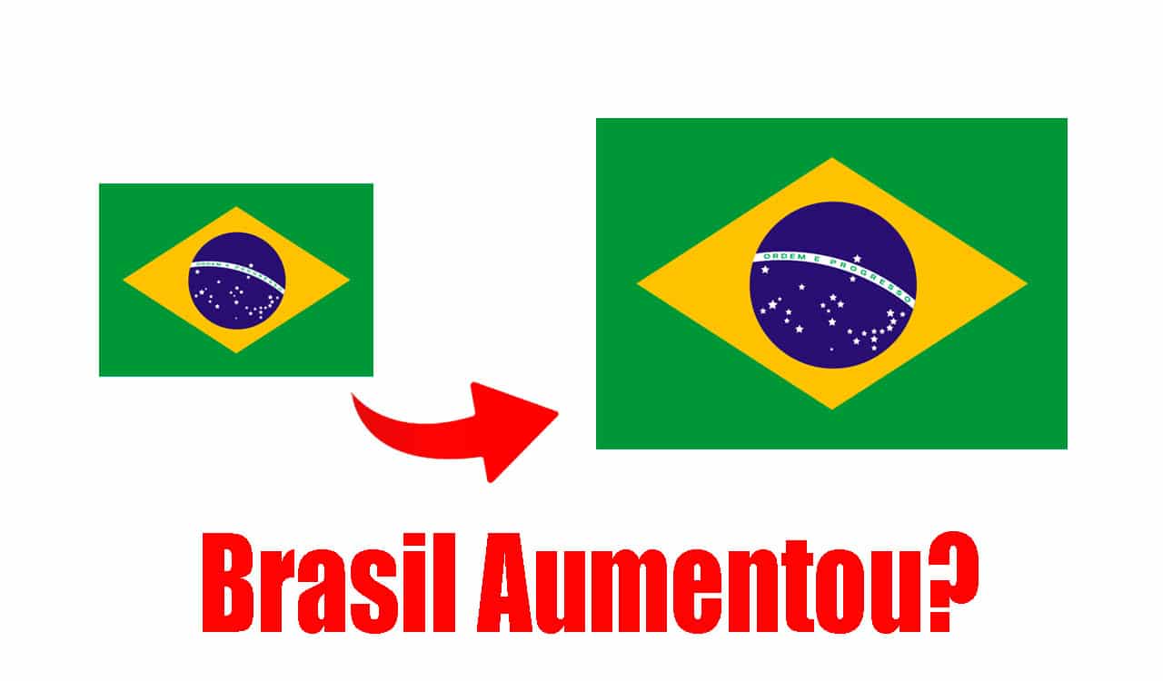 duas bandeiras do brasil em tamanhos diferentes