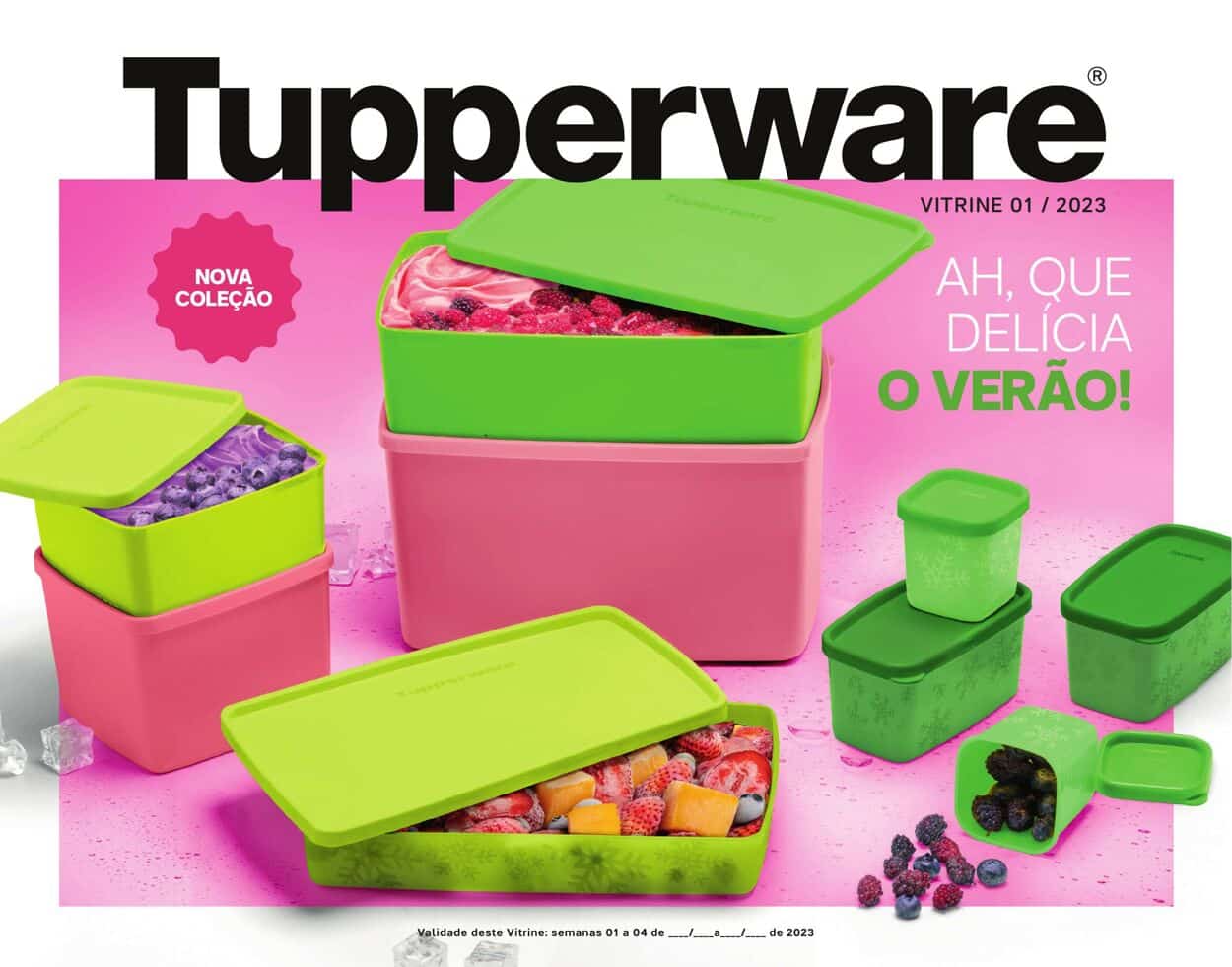 Potes da Tupperware