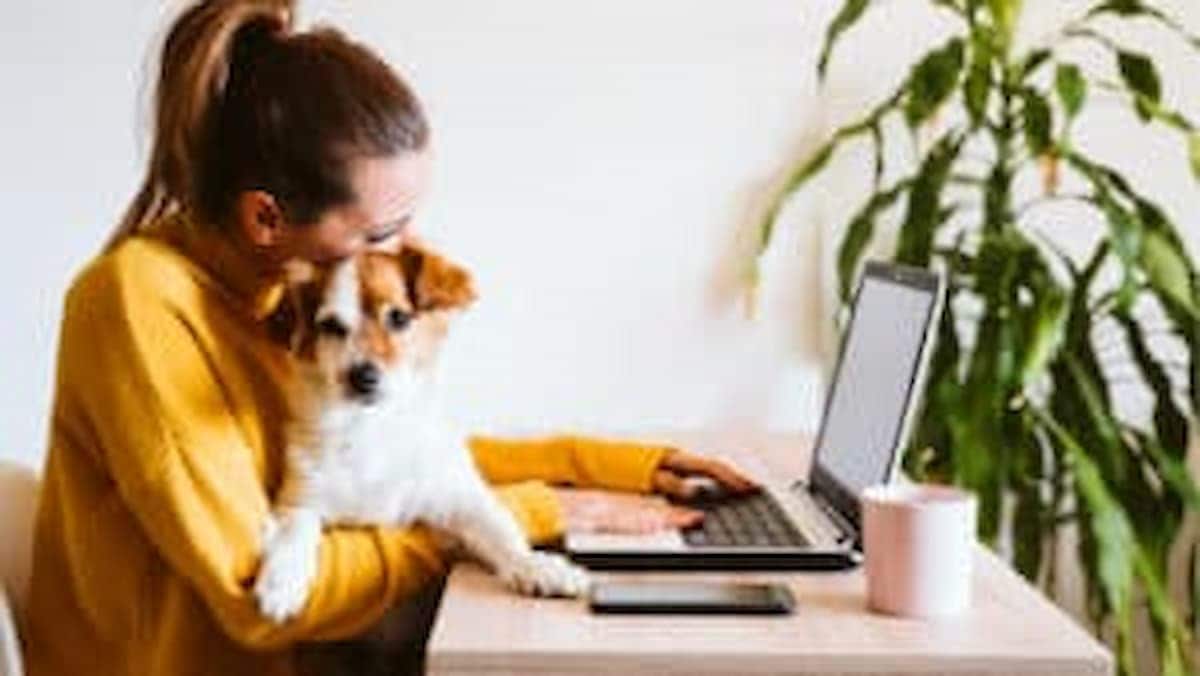 Mulher usando o computador com um cachorrinho no colo