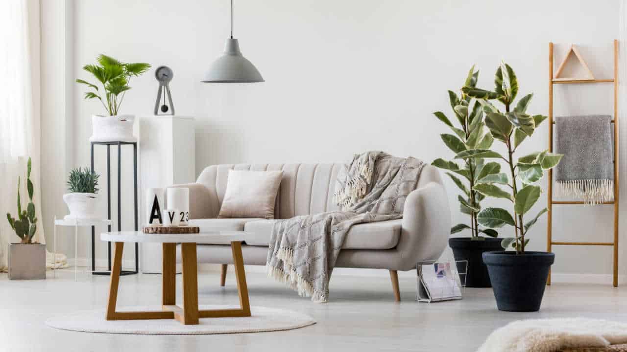 Sala de estar decorada com cores neutras e plantas