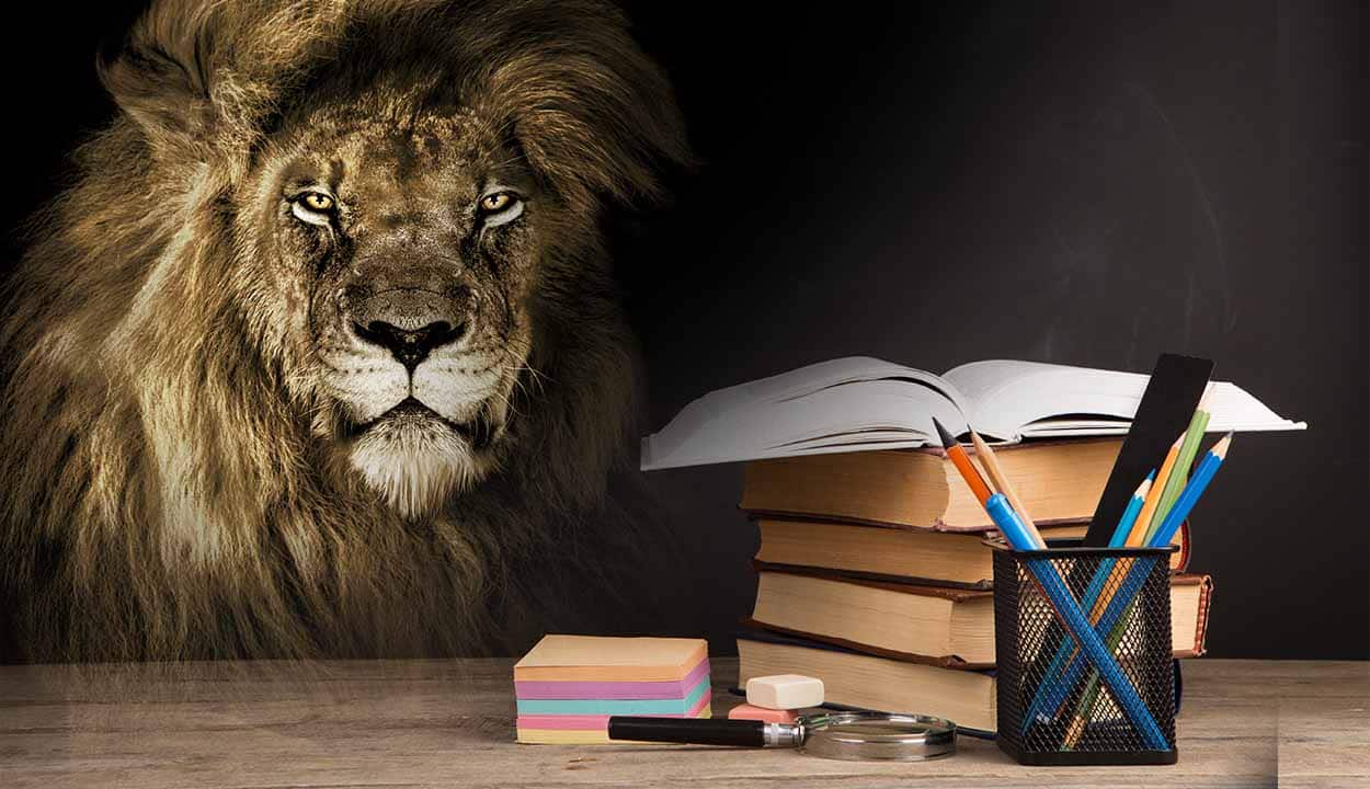No fundo preto um leão, a frente uma mesa com livros, post-it, um caderno aberto (em cima dos livros) e um pote com canetas e lápis.