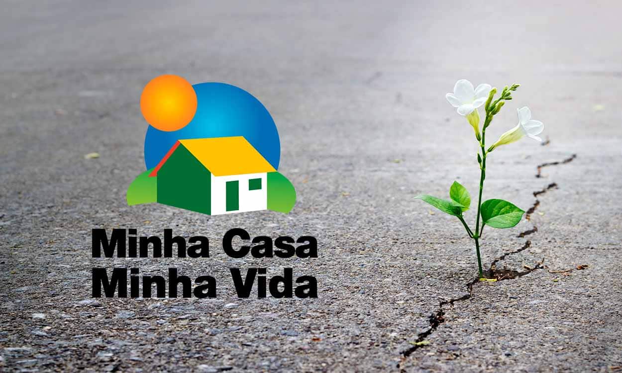 Imagem de uma rachadura no chão com uma planta nascendo. Ao lado, a logo do Minha Casa,Minha Vida