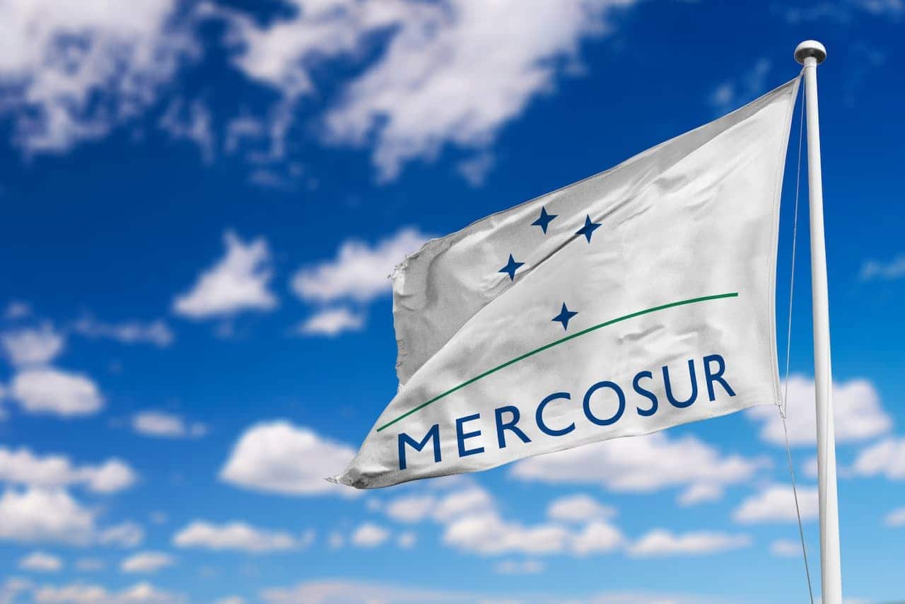 bandeira do Mercosul brasileiros