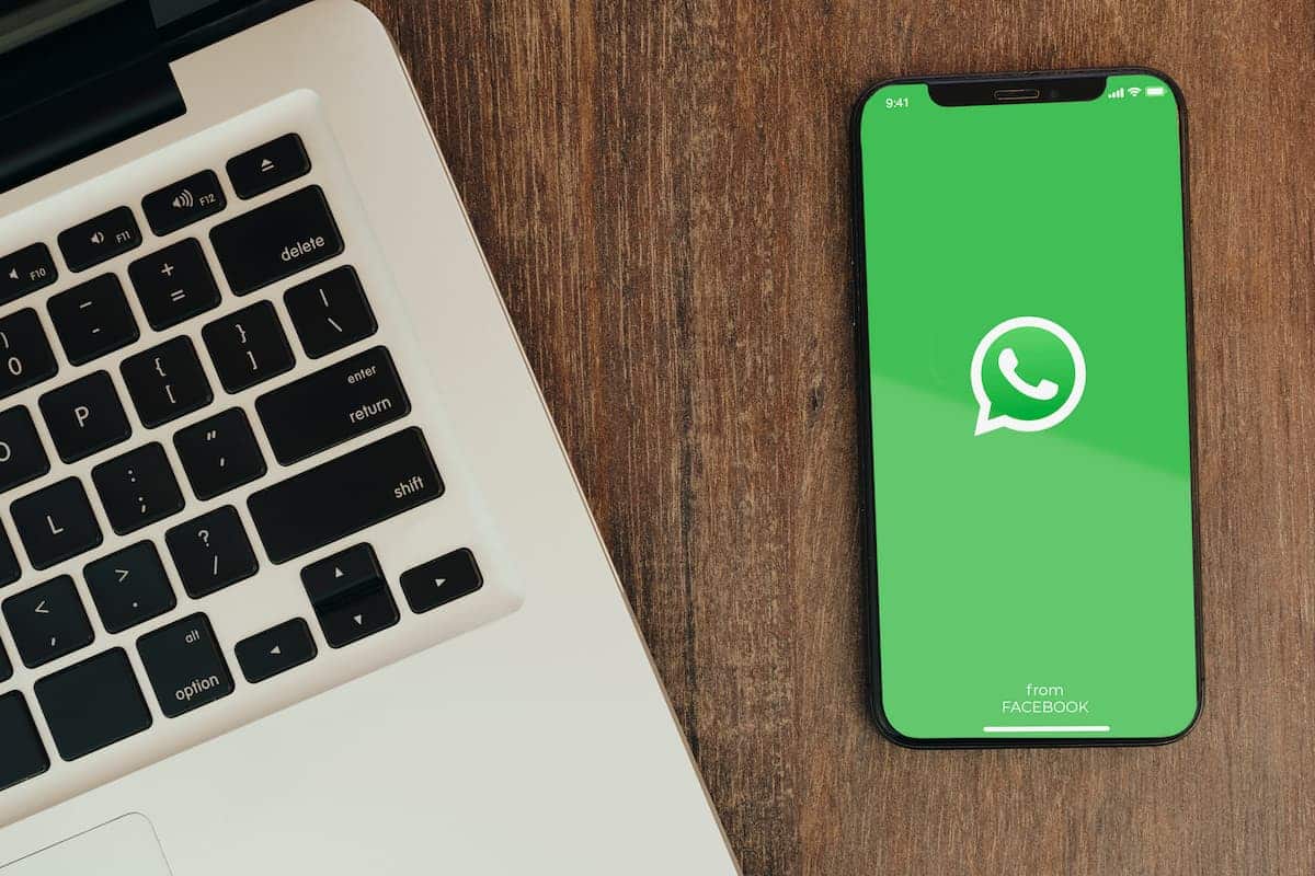 whatsapp brasil