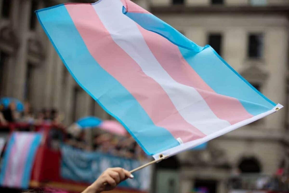 Foto mostra uma pessoa segurando a bandeira do orgulho transgênero, em detrimento de possível cota para trans
