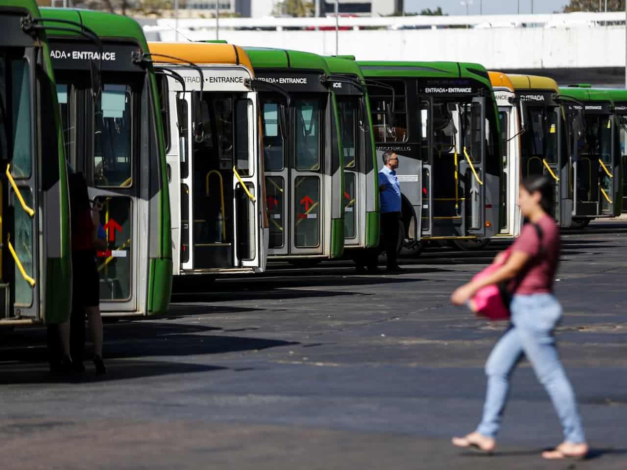Vários ônibus estacionados em fila, mulher andando em direção a eles.