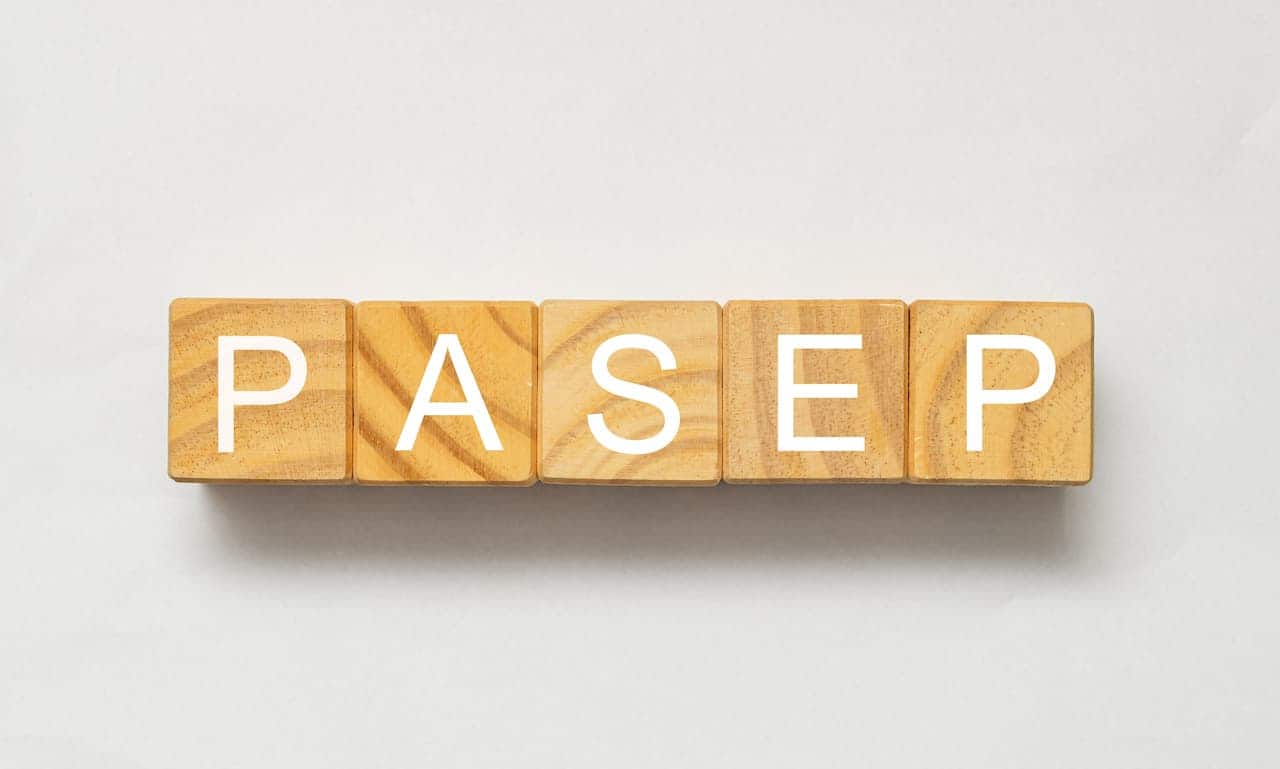 blocos de madeira com as letras de PASEP