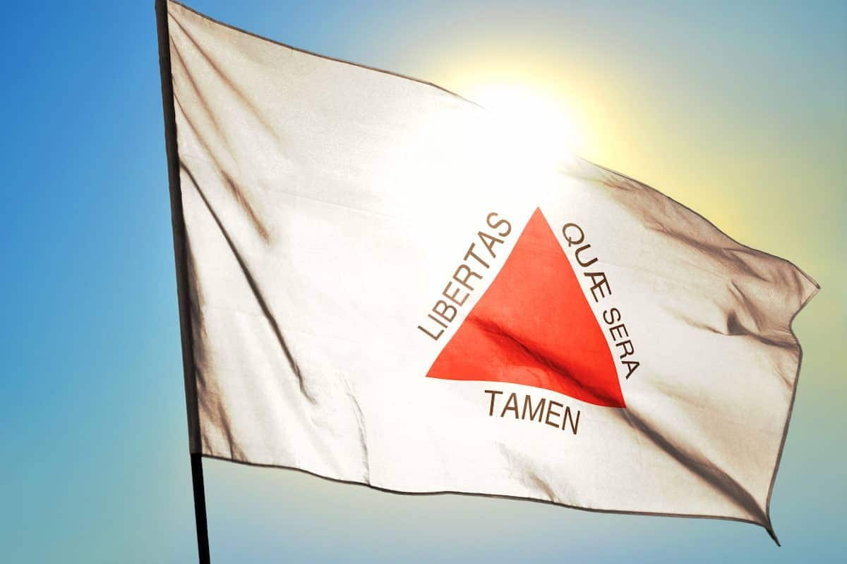 Bandeira do estado de Minas Gerais