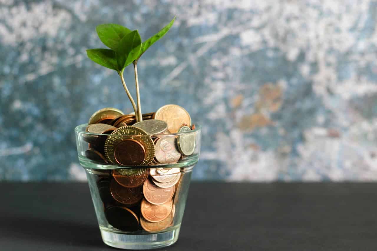 Imagem de um copo cheio de moedas com uma planta nascendo delas