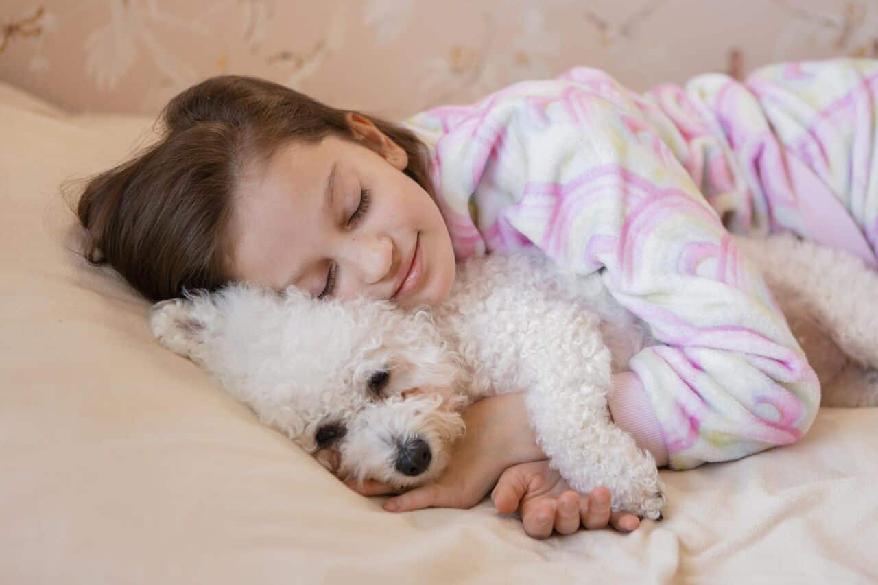 Dormir com pet