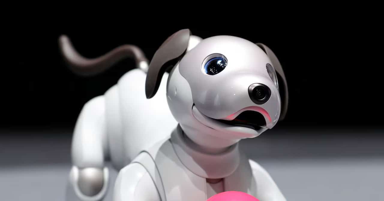 Aibo