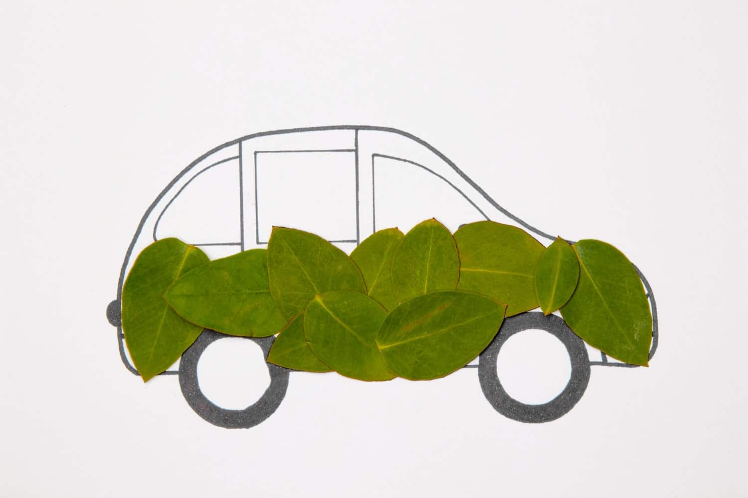 IPI verde