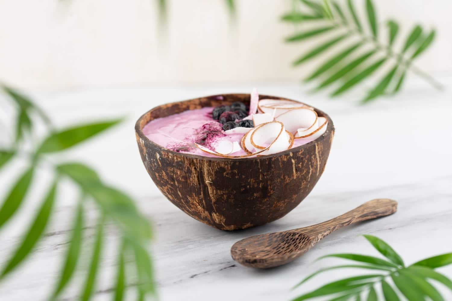 açaí (3)