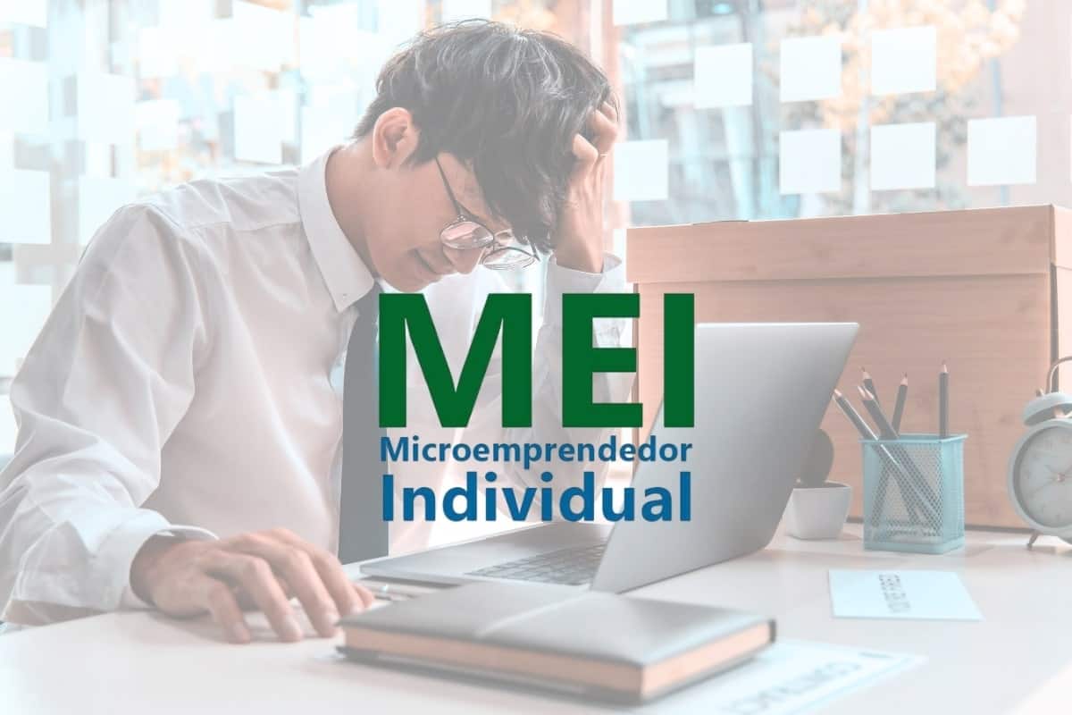 MEIs