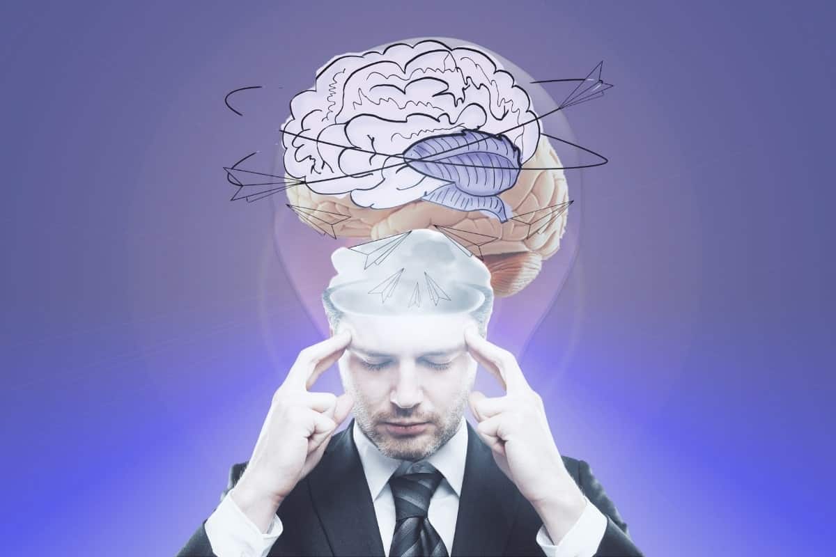 neuroplasticidade