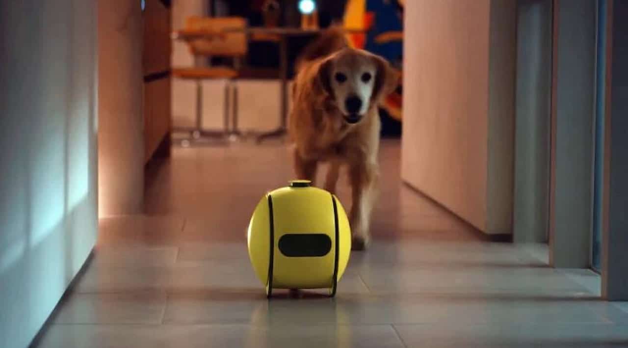 samsung ballie