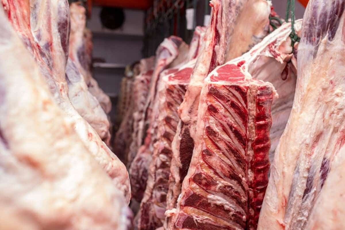 carne