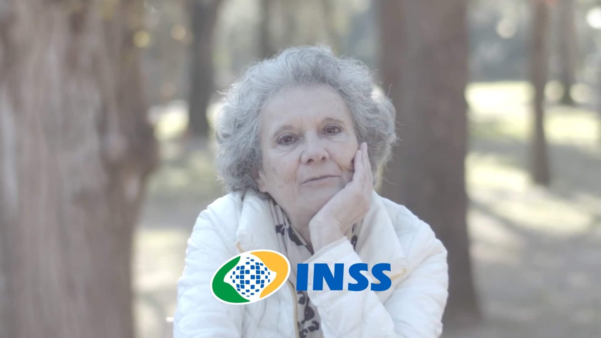 INSS (2)