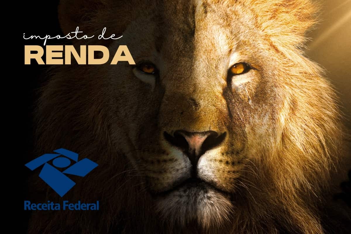 canva imposto de renda