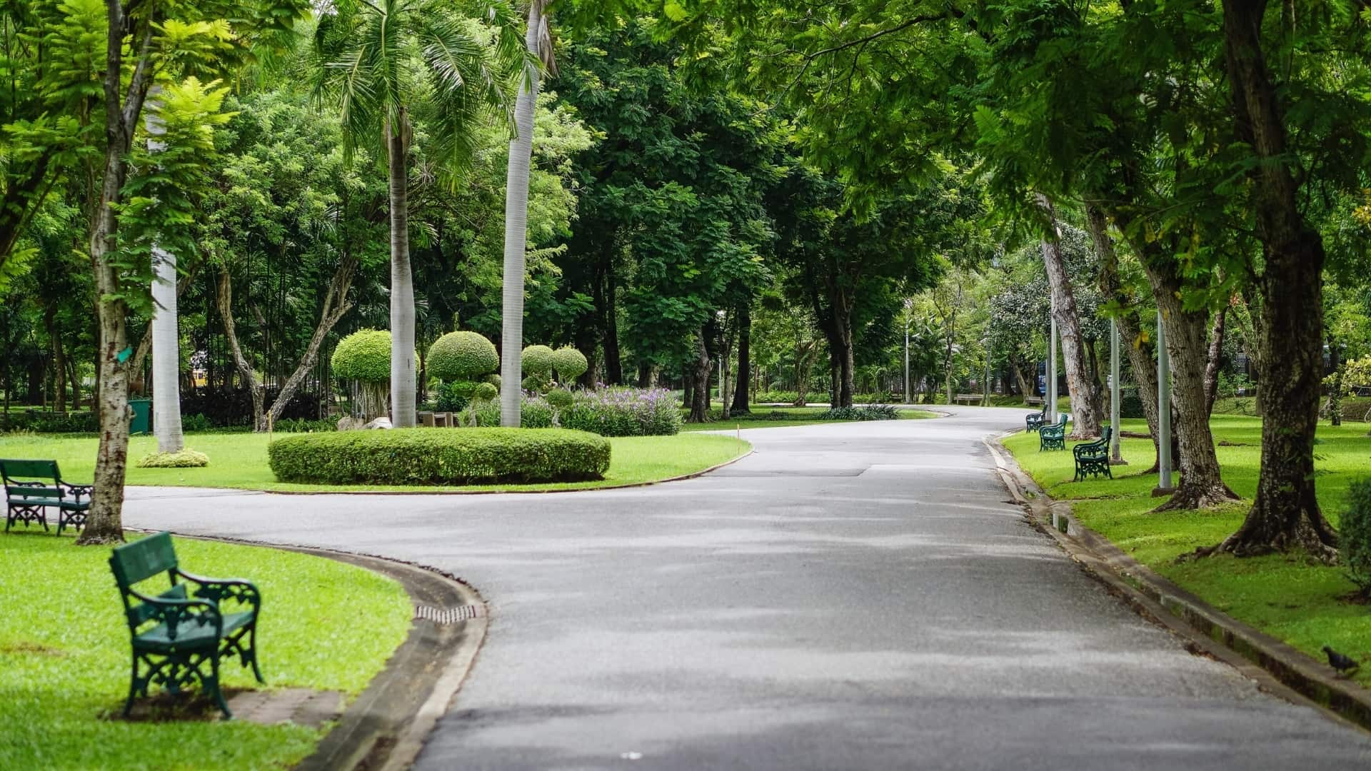 Parques