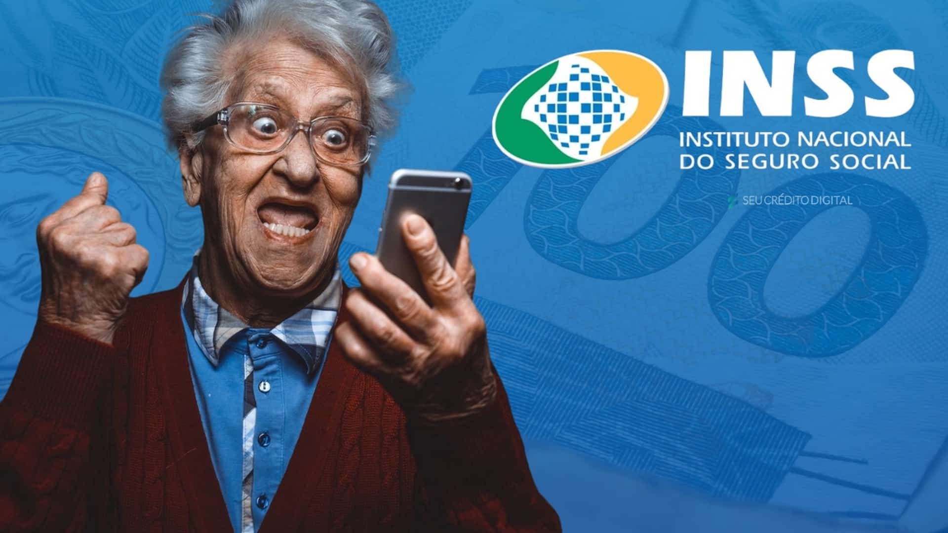 inss,