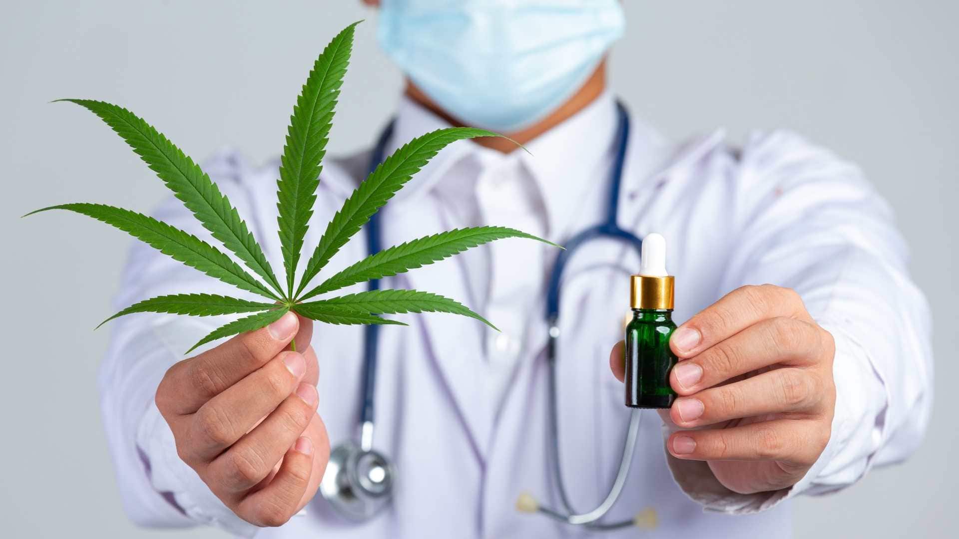 Cannabis