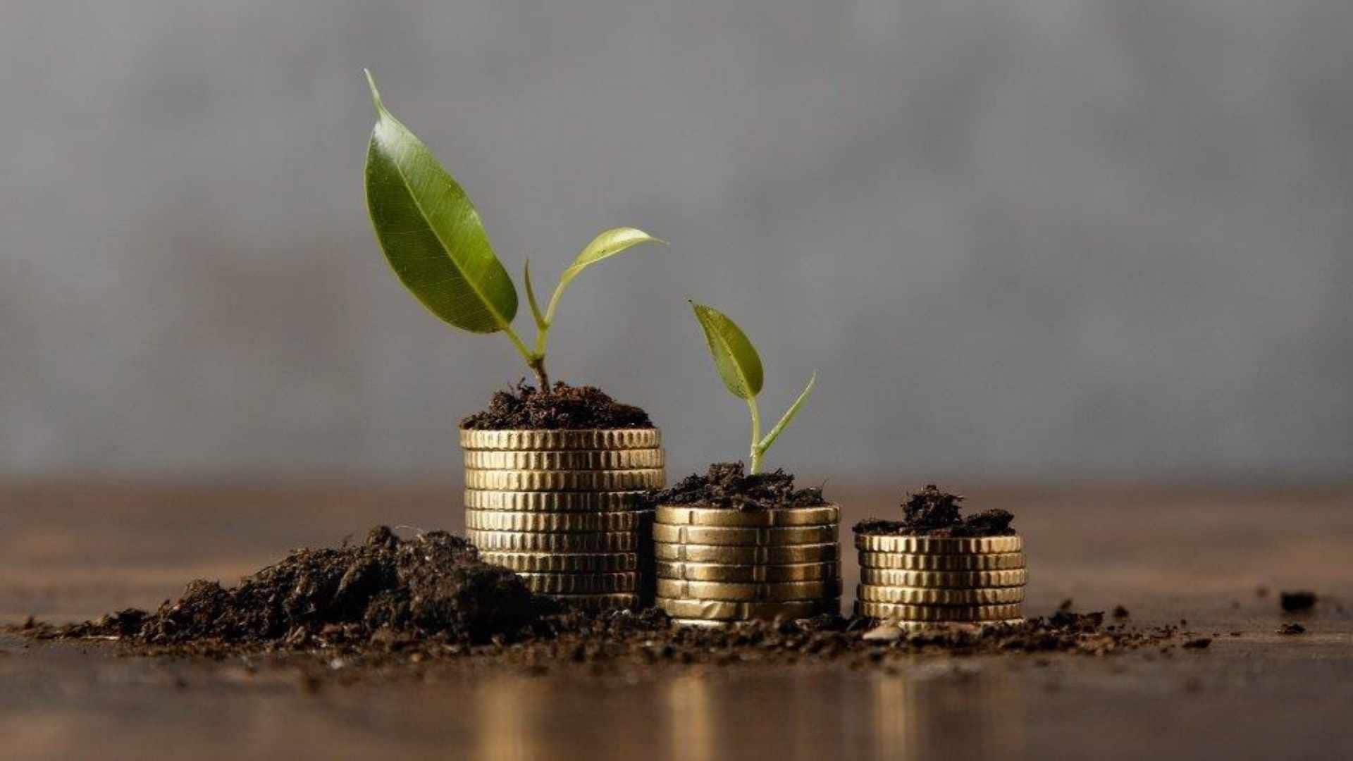 Greenwashing