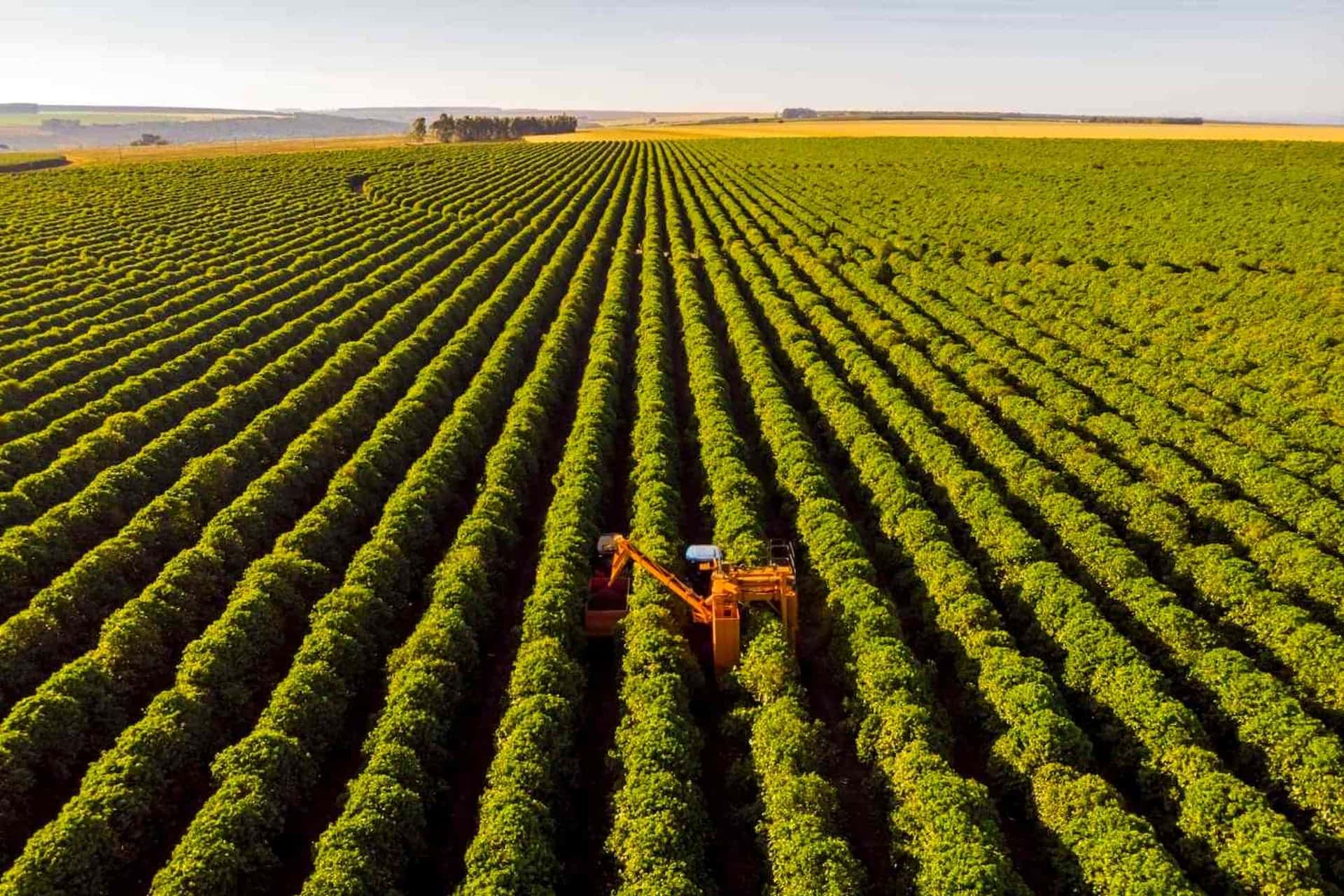Banco do Brasil