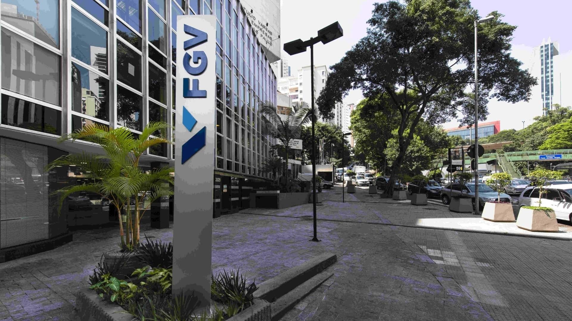 fgv (1)