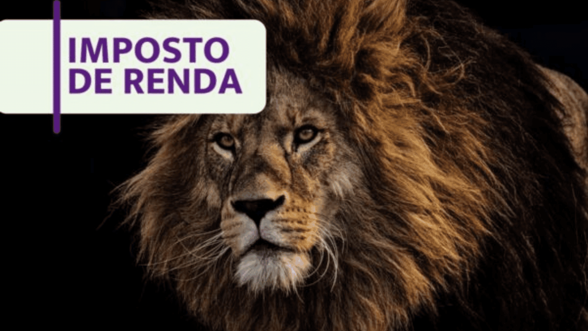 Malha fina Imposto de Renda 2026: como resolver