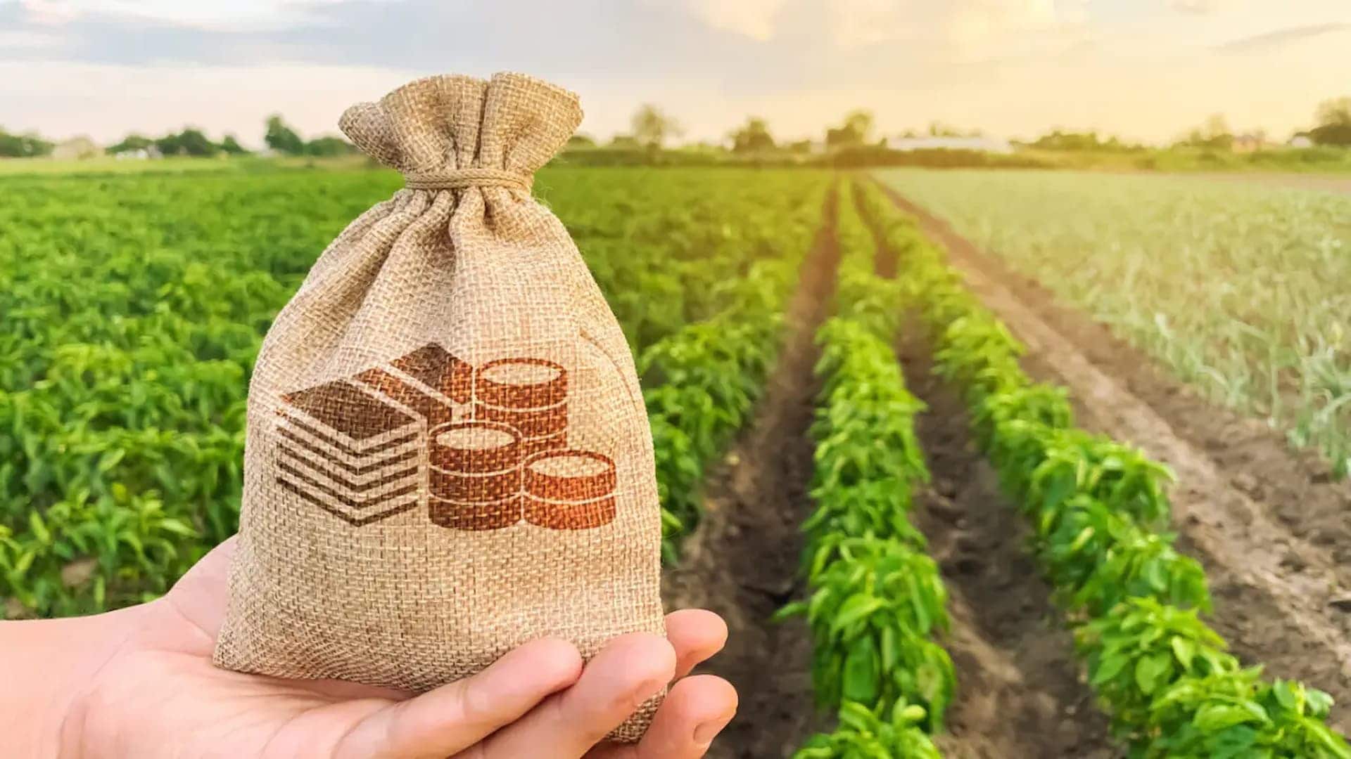 Brasil está chegando ao patamar de dívida da pandemia, diz economista