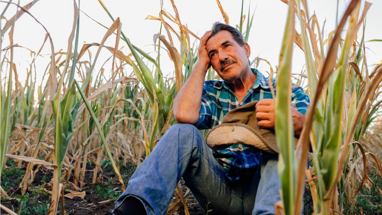 Câmara dos Deputados aprova projeto de auxílio a agricultores familiares