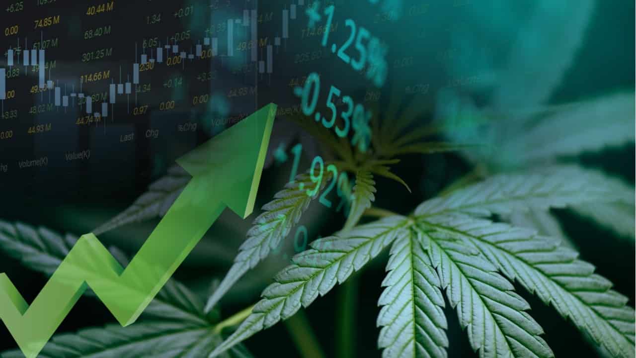 BTG Pactual digital inclui em seu portfólio fundo ligado à maconha