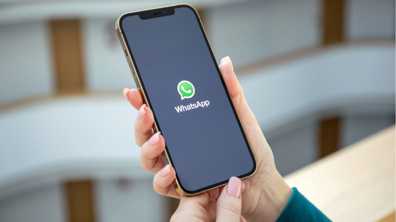 Nova função do WhatsApp deve chegar em breve