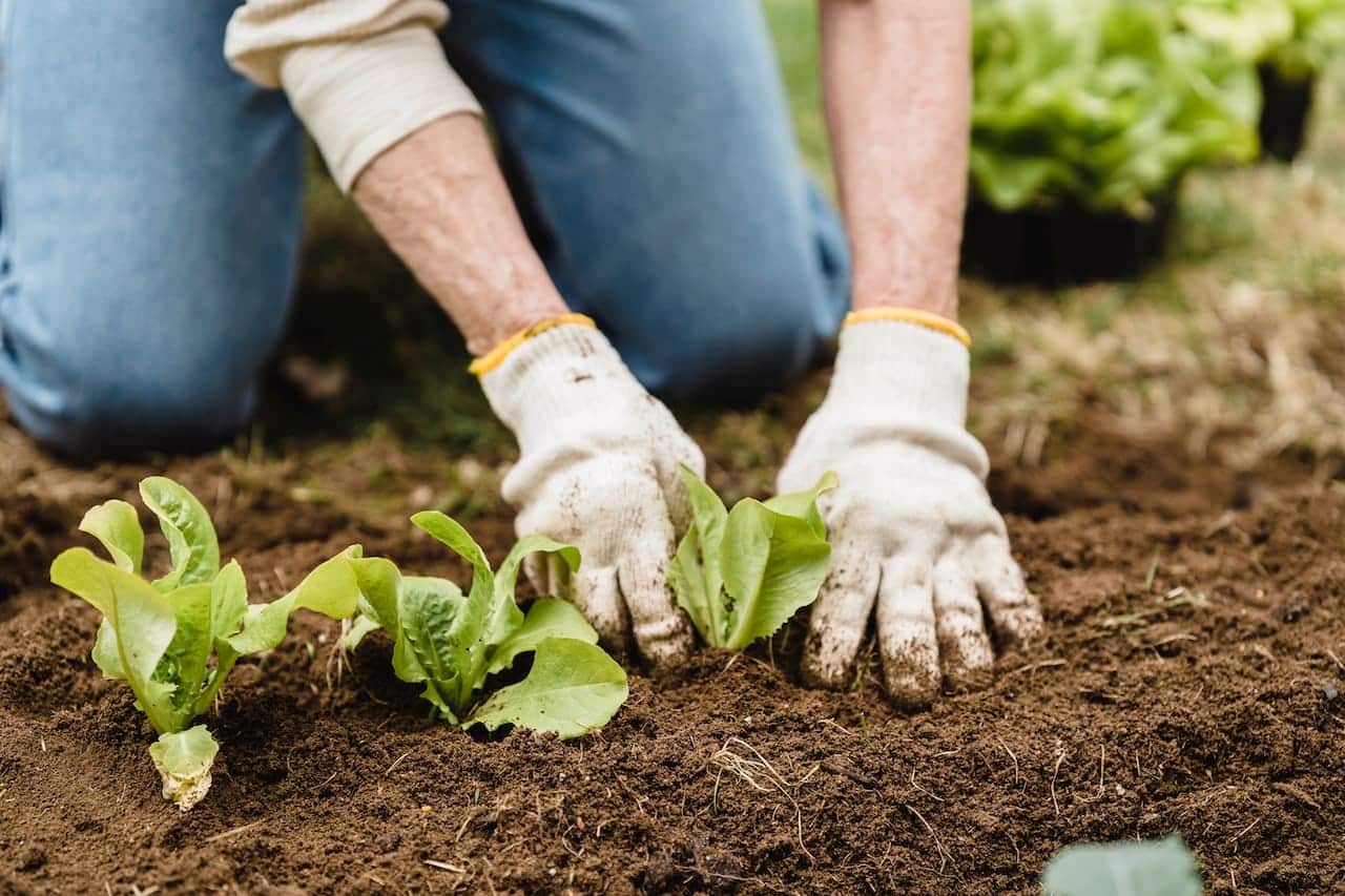 Como comprovar atividade rural no INSS?