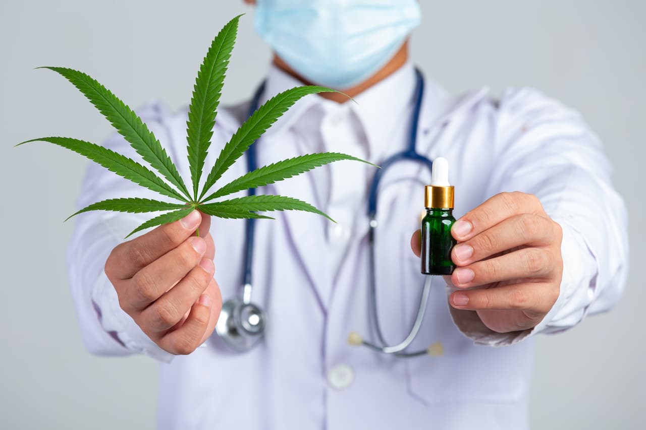 Pesquisa aguarda liberação da Anvisa para avançar no cultivo de cannabis no Brasil